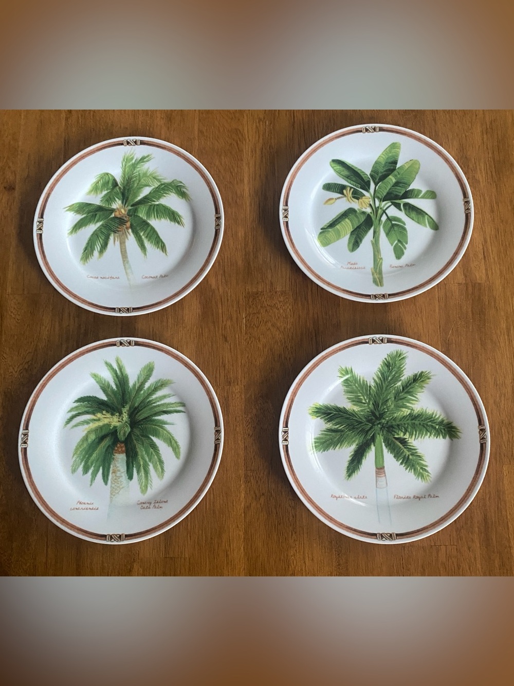 Vintage Florida Marketplace Palm Island 8” Salad Plates Set of 4 Botanical